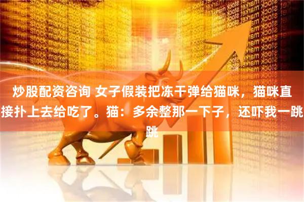 炒股配资咨询 女子假装把冻干弹给猫咪，猫咪直接扑上去给吃了。猫：多余整那一下子，还吓我一跳