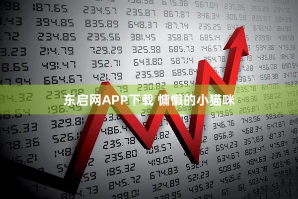 东启网APP下载 慵懒的小猫咪