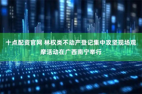 十点配资官网 林权类不动产登记集中攻坚现场观摩活动在广西南宁举行