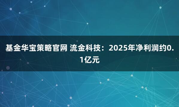 基金华宝策略官网 流金科技：2025年净利润约0.1亿元
